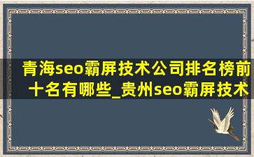 青海seo霸屏技术公司排名榜前十名有哪些_贵州seo霸屏技术公司